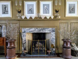 Time To Gather Pussy Willows The Martha Stewart Blog