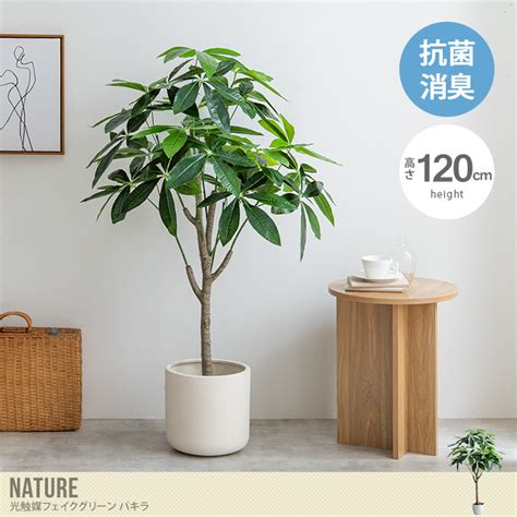 【送料無料】nature ナチュレ 高さ120cm 観葉植物 パキラ フェイクグリーン 人工 室内 リビング オフィス 一人暮らし 緑