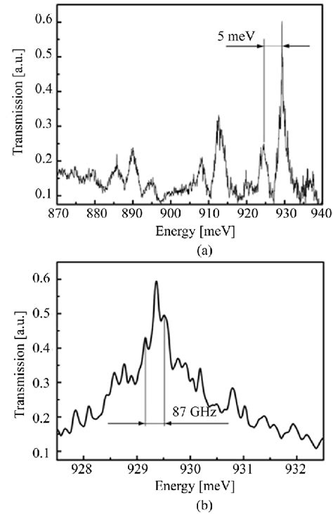 A Spectral Dependences Of The Light Transmission Coefficient That