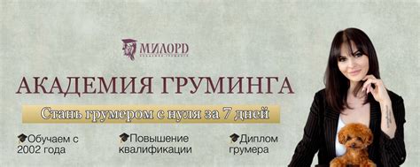Академия груминга МИЛОРД. Курсы груминга Москва | ️ Обучим профессии ...