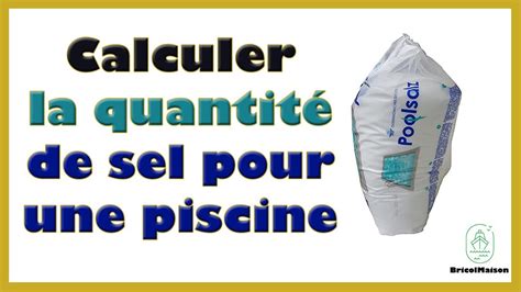 Comment Calculer La Quantit De Sel Pour Une Piscine Youtube