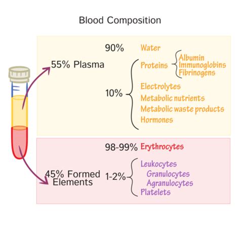 27 B BLOOD Composition Cells Of Blood Classification Structure