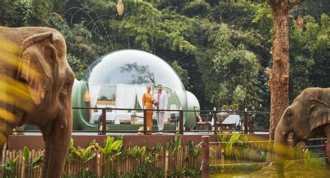 Thailand Jungle Bubbles | Anantara Golden Triangle Experiences