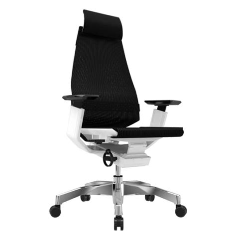 Анатомическое кресло для компьютера Genidia от Comfort Seating