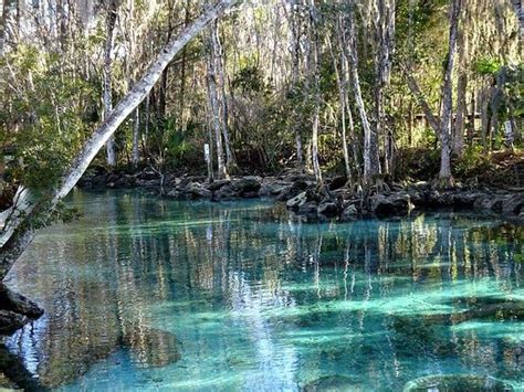 Crystal River National Wildlife Refuge 2021 All You Need To Know Before You Go With Photos