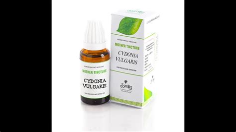 Similia Cydonia Vulgaris Mother Tincture X Q Ml Uses Benefits