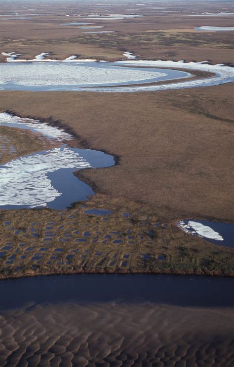 Tundra Landscape Southeast Taymyr Siberia Russia July 1 Flickr