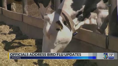 Officials Address Bird Flu Updates