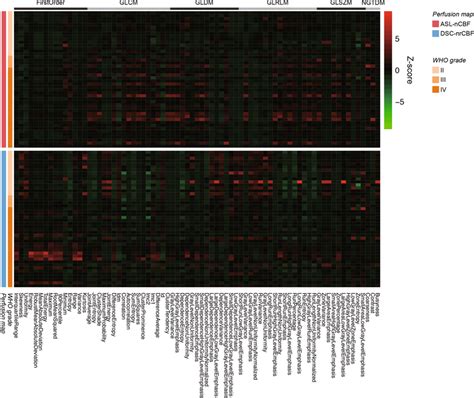 Heatmap Of Radiomic Features For Comparing Between Asl Ncbf And Download Scientific Diagram