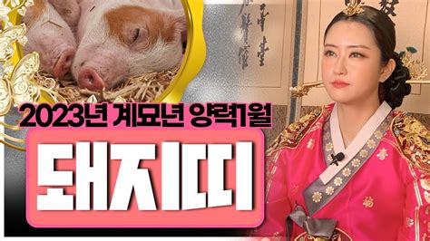 미리보는~2023 계묘년 돼지띠🐽 양력1월 신년운세★ 할까말까 고민이될땐 무조건 해라 영금아씨김윤희 Youtube