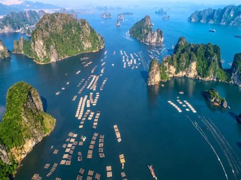 Halong Bay Cruise Or Lan Ha Bay Cruise Which One Should We Choose