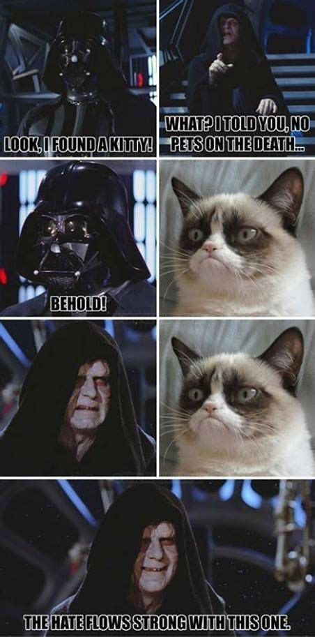 Remembering David Prowse With The Best Darth Vader Cat Memes Funny