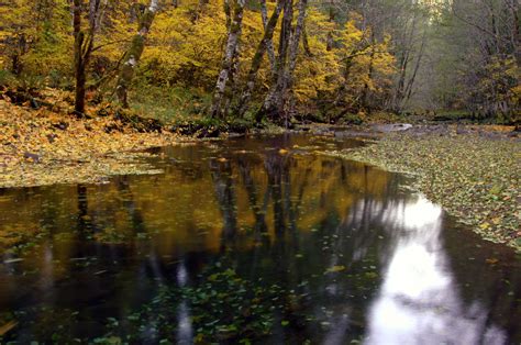 Fall Colors along River | National geographic, Fall photos, Waterfall