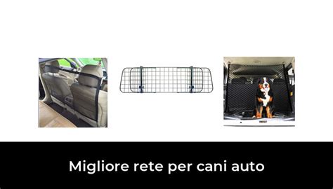 Migliore Rete Per Cani Auto Nel Secondo Gli Esperti