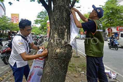 Pencabutan Alat Peraga Kampanye Di Pohon Antara Foto