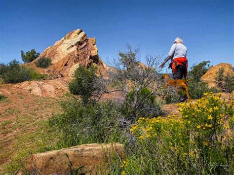 Vasquez Rocks More Than Just An Amazing Filming Location