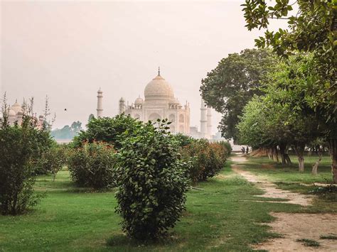 Mehtab Bagh Guide (Moonlight Garden) - Magical View Of The Taj Mahal!