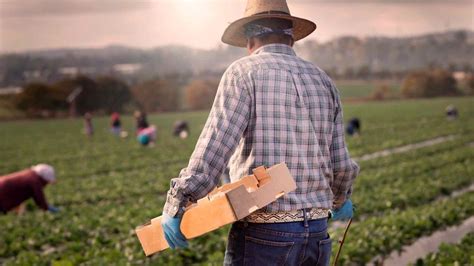 “con La Jurisdicción Agraria Estamos Remendando La Nación”