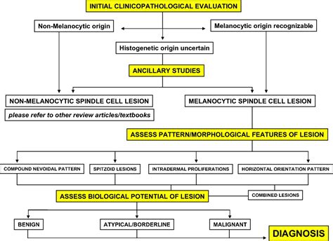 Spindle Cell Melanocytic Lesionspart I An Approach To Compound