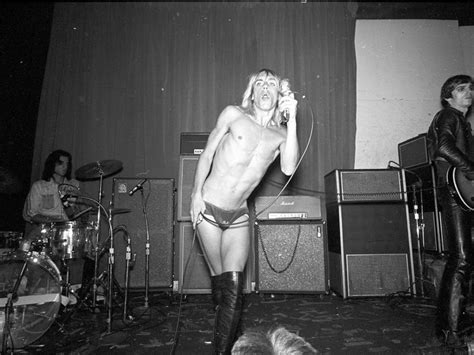 The Genius Of Raw Power By Iggy And The Stooges