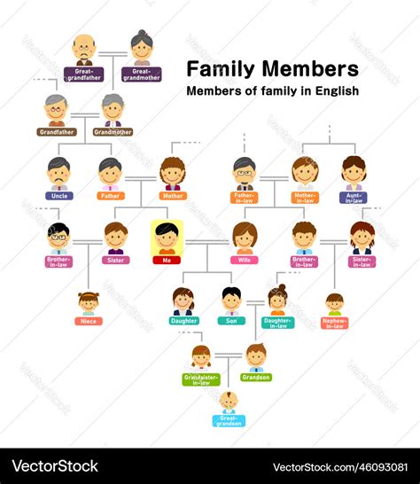 Family tree members of Royalty Free Vector Image