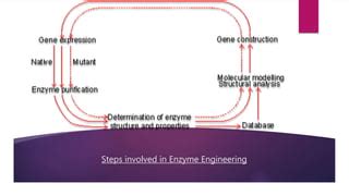 Enzyme engineering by tamizh | PPT