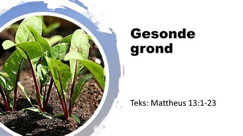 Gesonde Grond Youtube