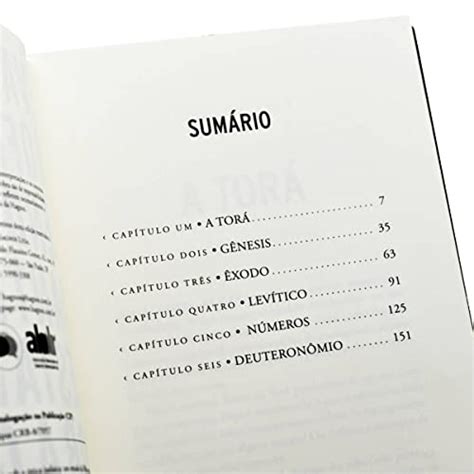 Lendo o Antigo Testamento sob a ótica judaica Um estudo da Bíblia que