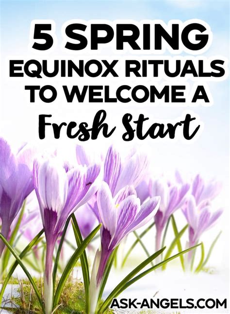 5 Spring Equinox Rituals - Celebrate the Start of Spring! - Ask-Angels.com