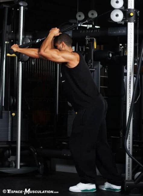 Variantes Des Extensions La Poulie Pour Se Muscler Les Triceps