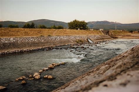 Imagen gratis orilla del río canal Río pantano bosque humedal