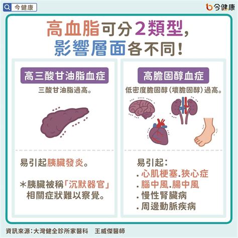 高血脂瘦的人也會有？！醫教4點觀察，防範中風、心肌梗塞。 今健康