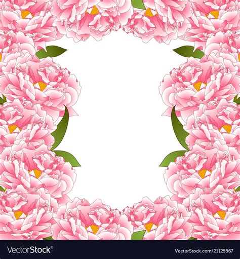 Pink Peony Flower Border Royalty Free Vector Image