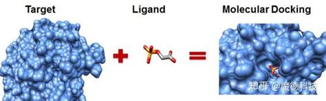 分子对接在药理学中的应用 知乎