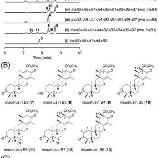 A Hplc Profiles Of The Metabolites Derived From A Oryzae