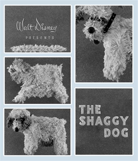 A DISNEY MOVIE CLASSIC – THE SHAGGY DOG 1959 – The Disney Sophisticate