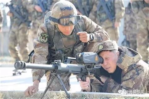 中國11式狙擊榴彈發射器 全球唯一！榴彈發射器中的狙擊槍 每日頭條