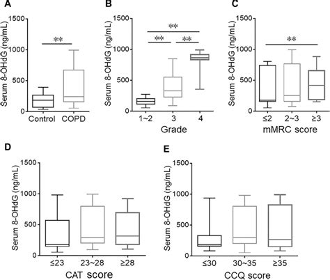 Serum 8 Ohdg Levels In Healthy Volunteers And Copd Patients A E The Download Scientific