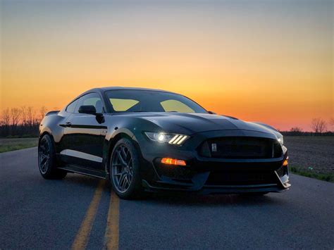 Mustang Shelby