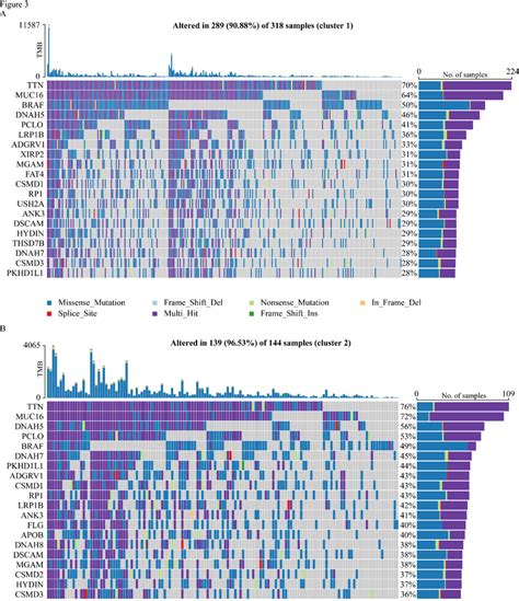 The Mutation Analysis Of Two Clusters The Waterfall Plot Showing The