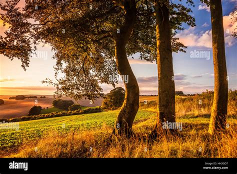The Sunset Scenery Hi Res Stock Photography And Images Alamy