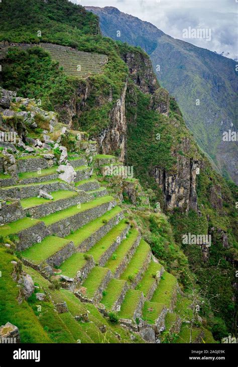 Inca Terrace Farming