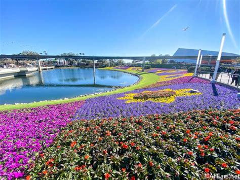 All Ears Tv Epcot S Flower Garden Festival Is The Most Beautiful And