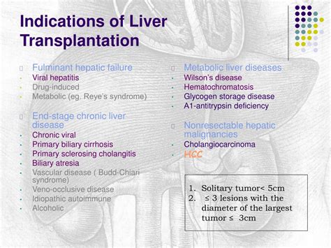 Ppt Liver Transplantation Powerpoint Presentation Free Download Id 9329296