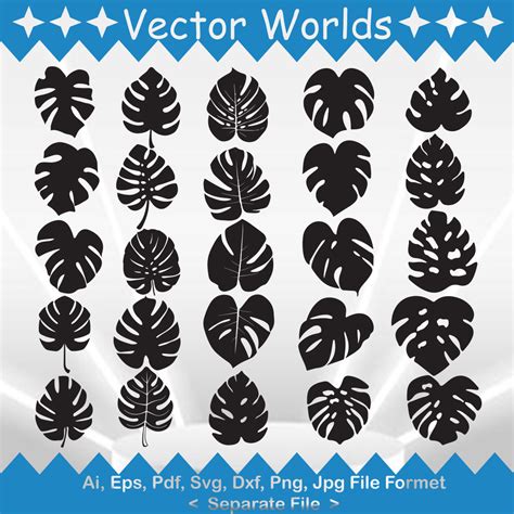 Monstera Svg Vector Design Masterbundles