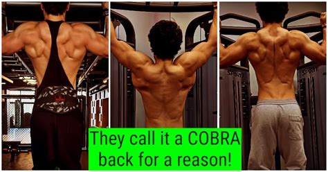 Exercises To Build A Thick Muscular Cobra Back Like Tiger Shroff Fast