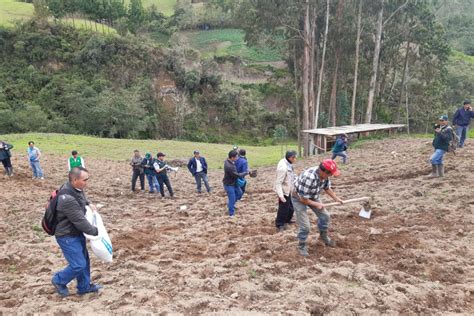 Inician campaña de siembra de pastos en las regiones Amazonas y