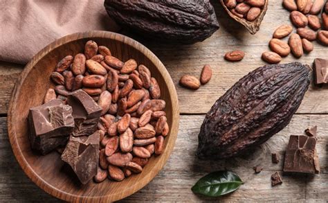 Cacao El Alimento De Los Dioses Diario Marca