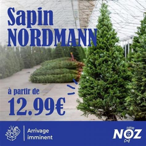 Semaine Week Sapin Nordmann Noz