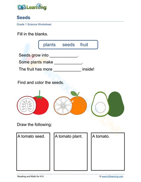 Seeds Plant And Fruit Tomatoes Worksheet